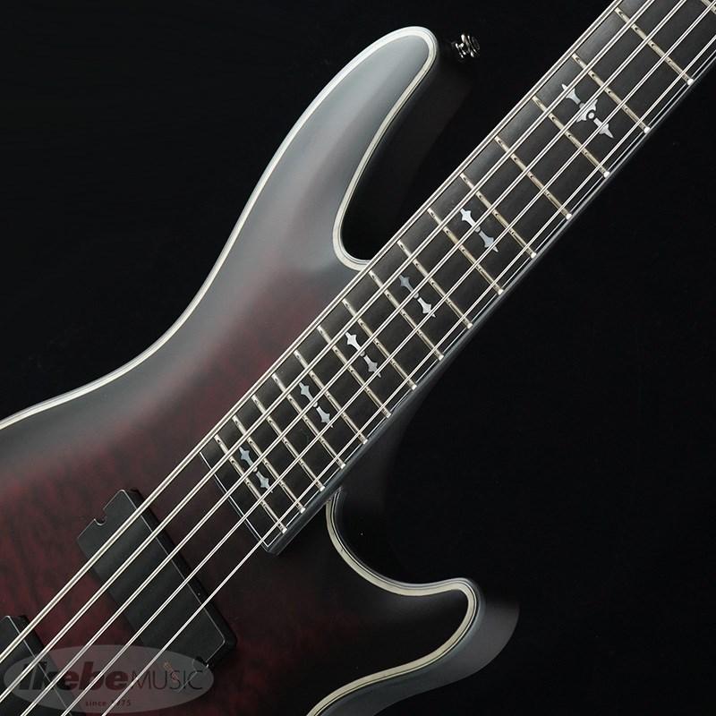 SCHECTER Hellraiser Extreme-5 [AD-HR-EX-BASS-5] (CRBS)｜ikebe-revole｜04