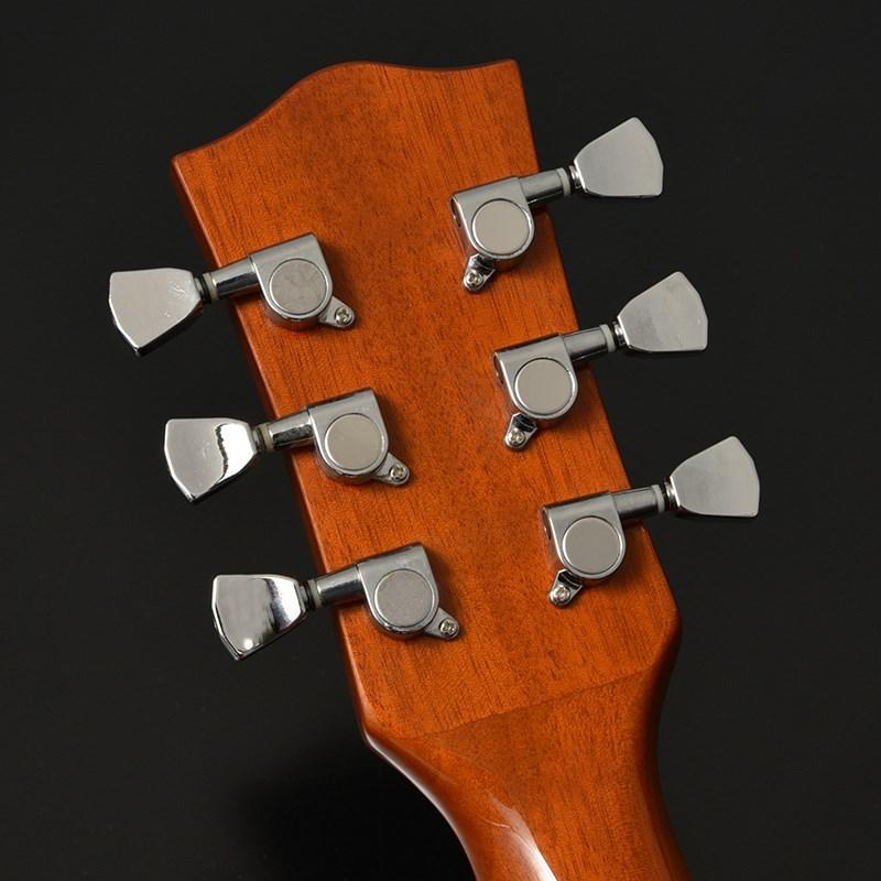 セール大人気 Bacchusバッカス BLP-STD Zebra（GoldTop