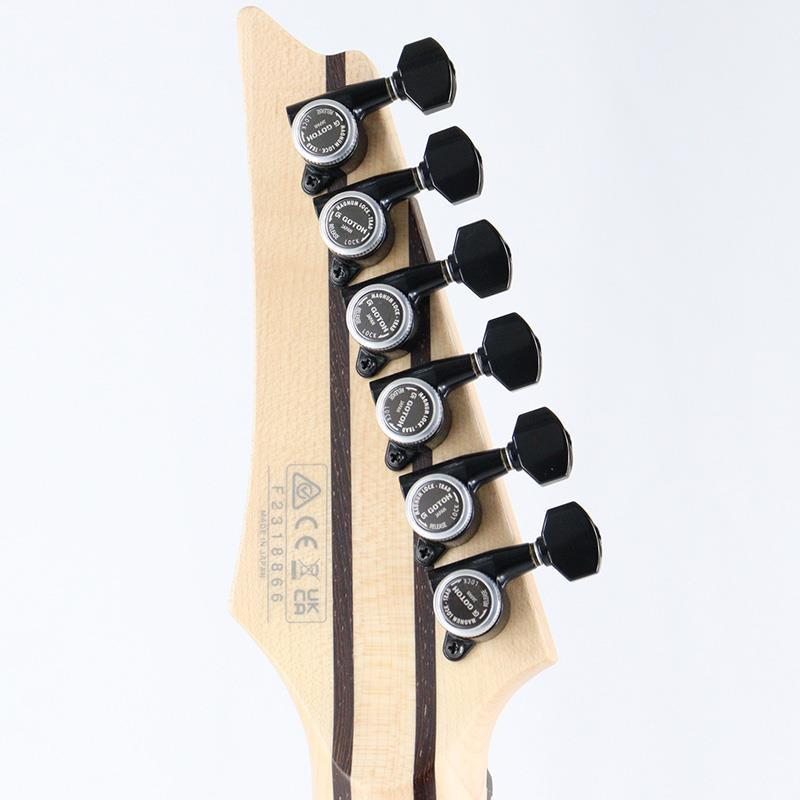 Ibanez Prestige RGD3121-PRF (Polar Lights Flat) [SPOT MODEL]の画像