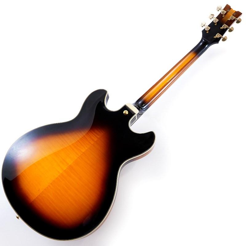 Ibanez（アイバニーズ） Ibanez JSM10-VYS [John Scofield Model