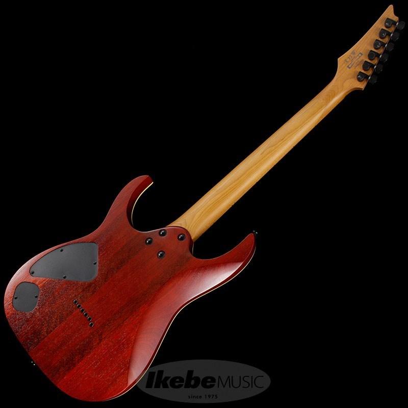 Ibanez（アイバニーズ） Ibanez RG421HPAM-ABL : イケベ楽器リボレ