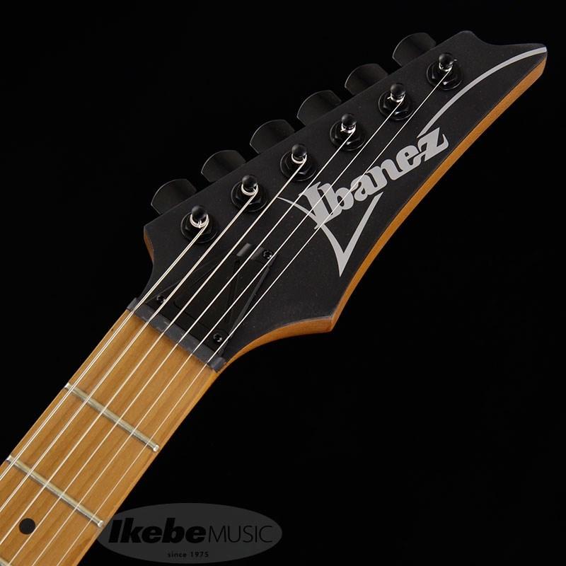 Ibanez（アイバニーズ） Ibanez RG421HPAM-ABL : イケベ楽器リボレ
