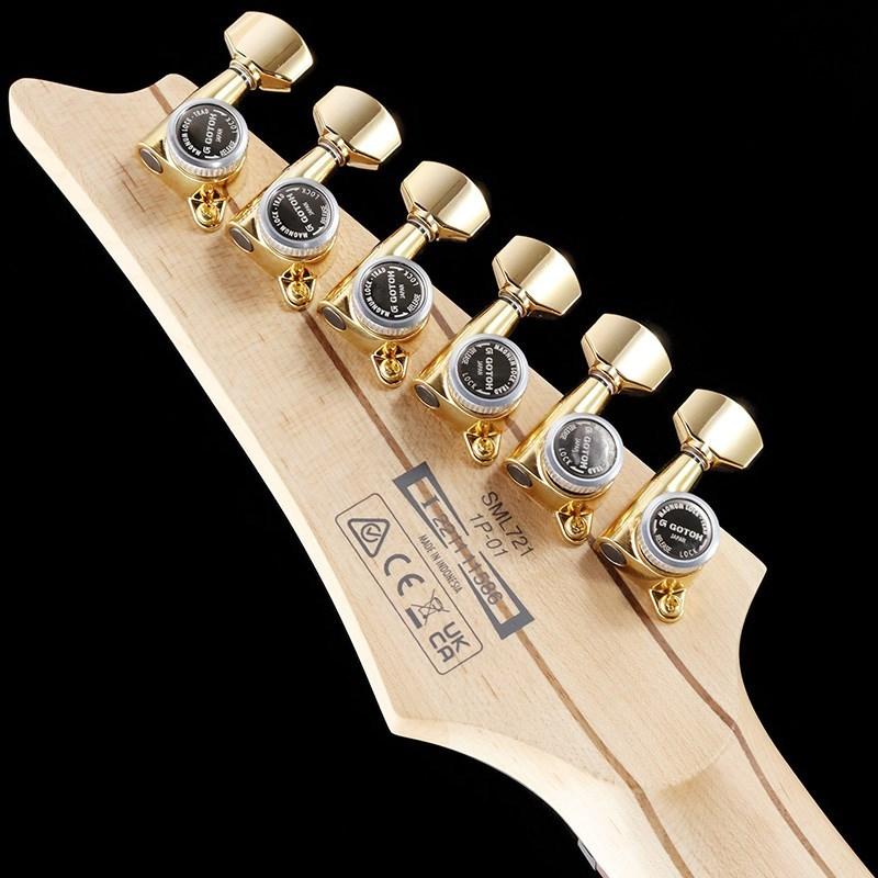 Ibanez（アイバニーズ） Ibanez Axe Design Lab SML721-RGC : イケベ