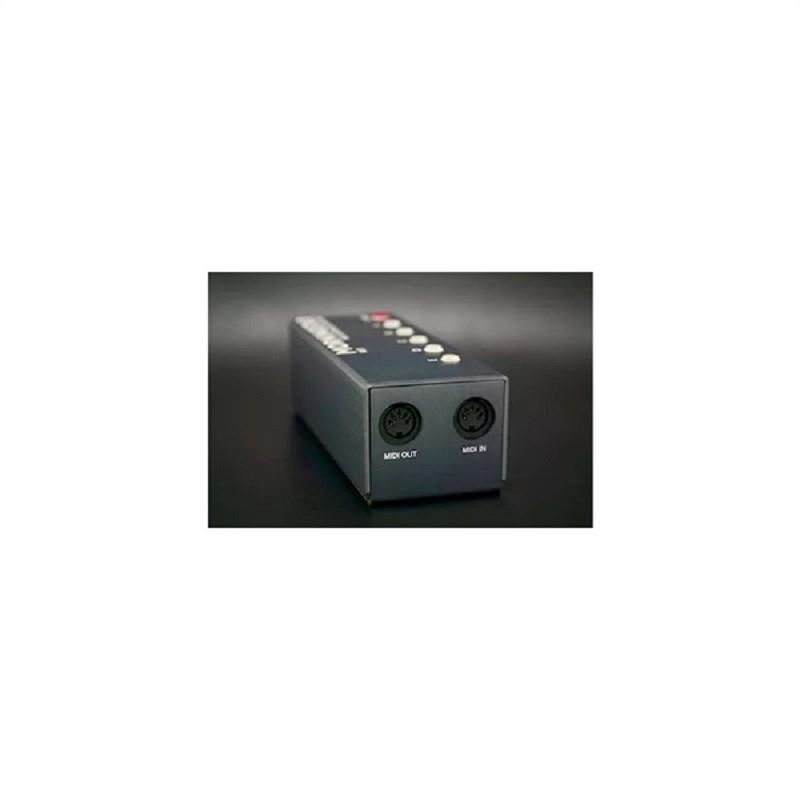Morningstar FX ML5 ギター Morningstar FX ML5 ギター