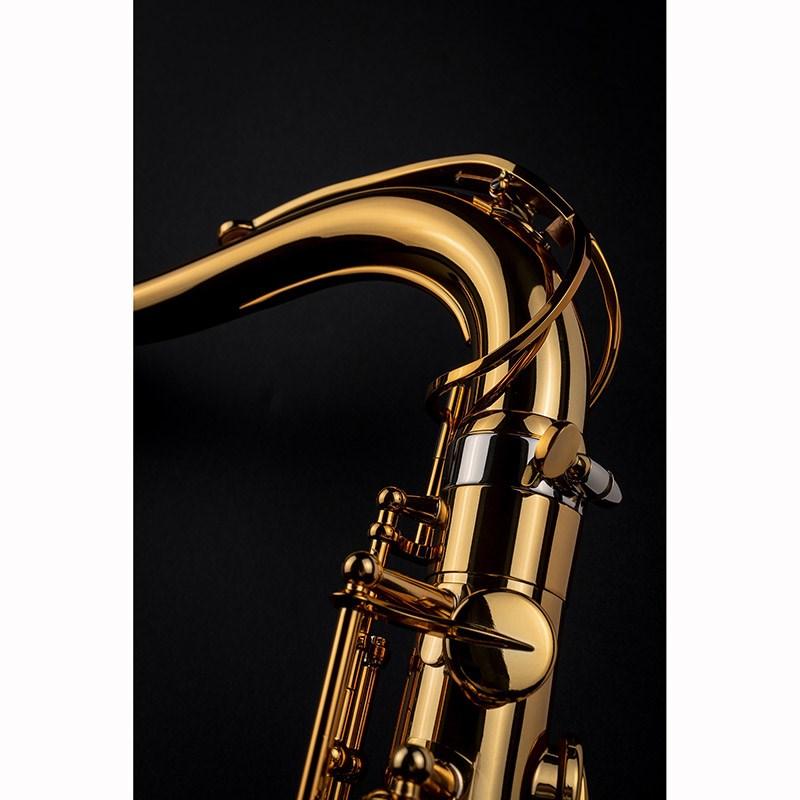 Selmer Paris 【新製品】テナーサックス セルマー Signature シグネチャー DARK SL(ダークシグネチャーラッカー)｜ikebe-revole｜09