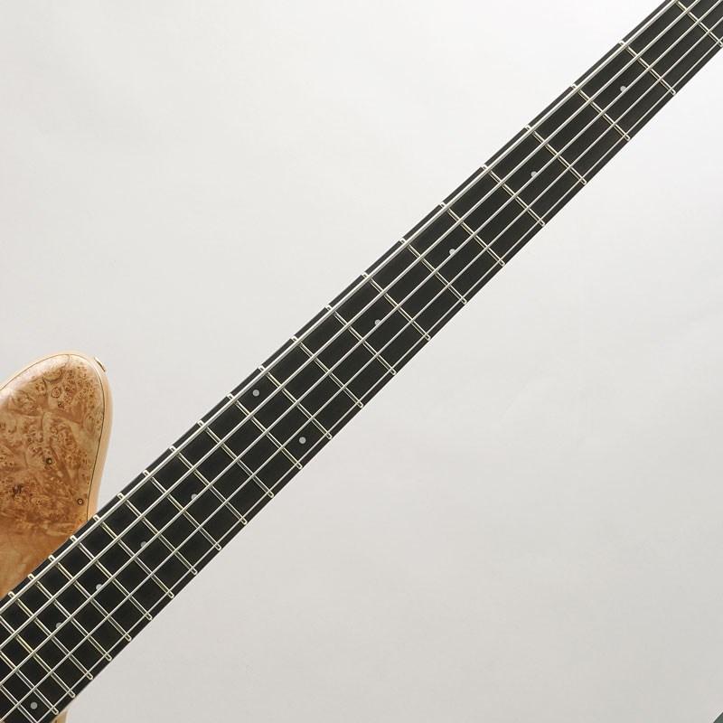 Zi III-5 Headless Single-Cutaway Burl Maple 【厳選BASS 【IVBass】 GEARセール】