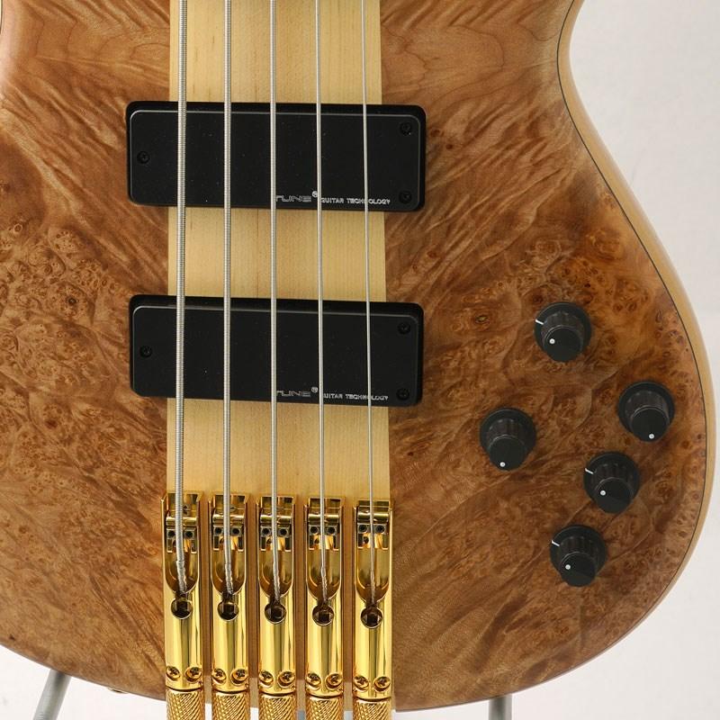 Zi III-5 Headless Single-Cutaway Burl Maple 【厳選BASS 【IVBass】 GEARセール】