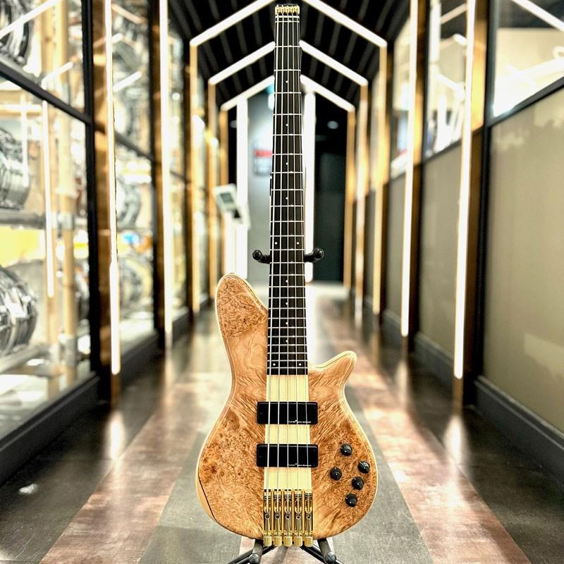 Zi III-5 Headless Single-Cutaway Burl Maple 【厳選BASS 【IVBass】 GEARセール】