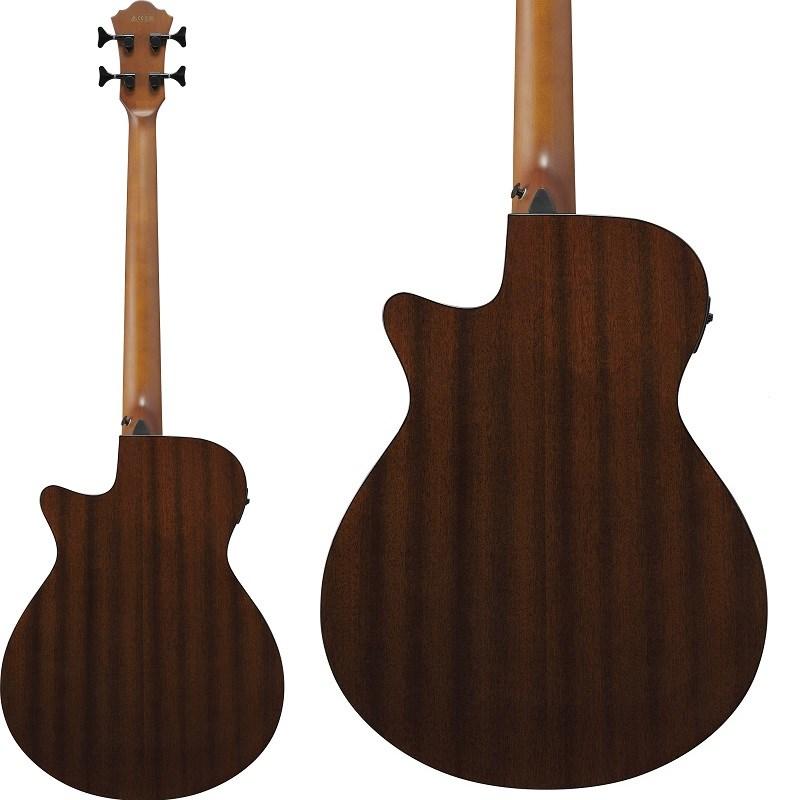 Ibanez AEGB24FE-MHS [SPOT MODEL]_1
