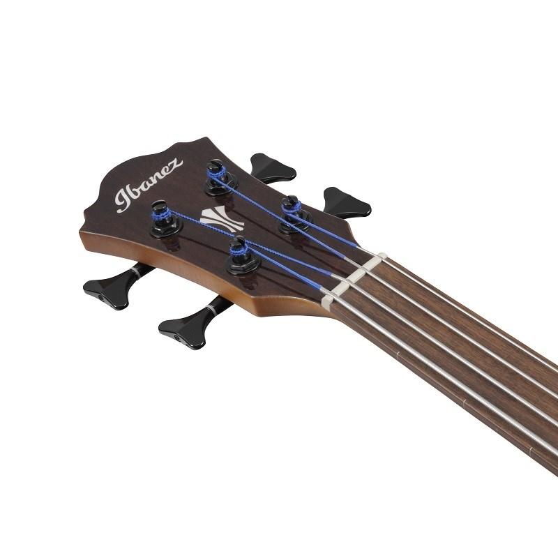 Ibanez AEGB24FE-MHS [SPOT MODEL]_2