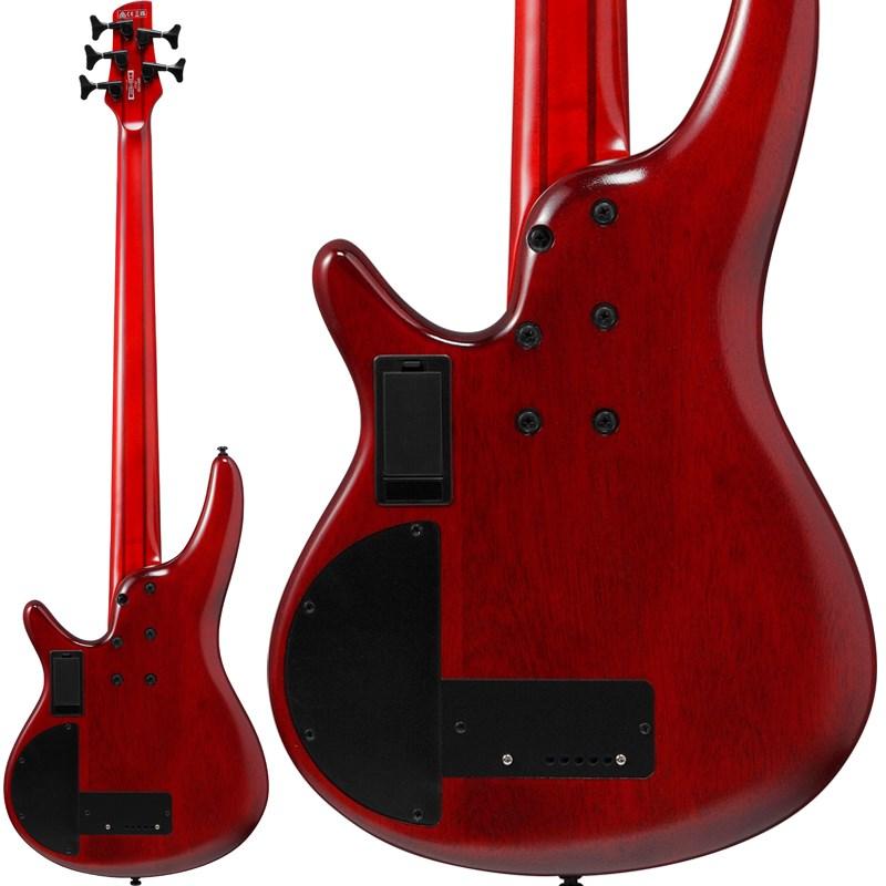 Ibanez Bass Workshop SRD905F-BTL_1