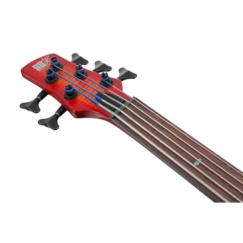 Ibanez Bass Workshop SRD905F-BTL_4