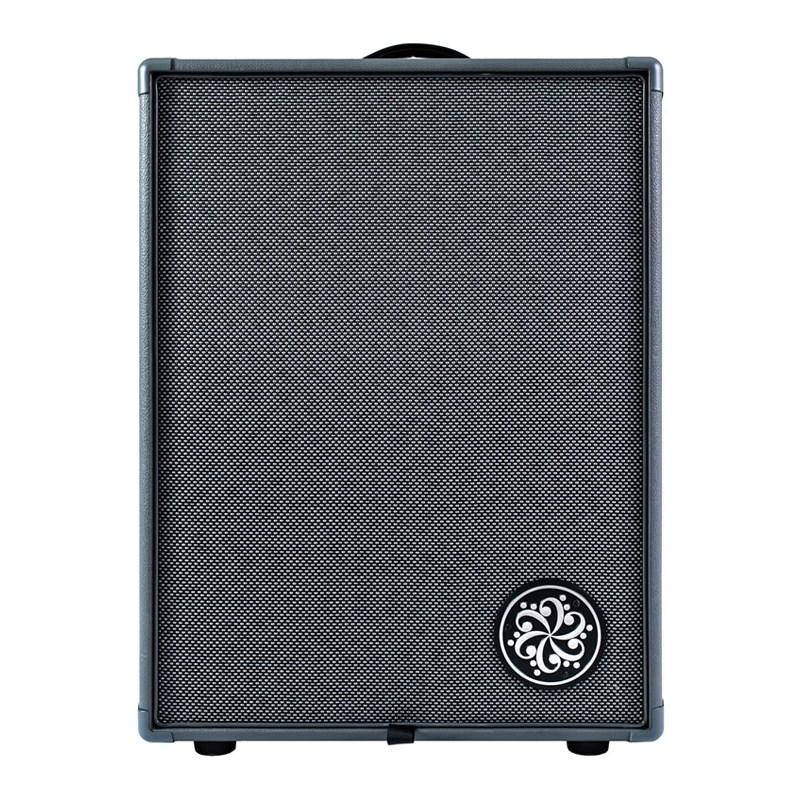 Darkglass Electronics 【お取り寄せ品】 Infinity 500 Combo 210 [DG210D]_1