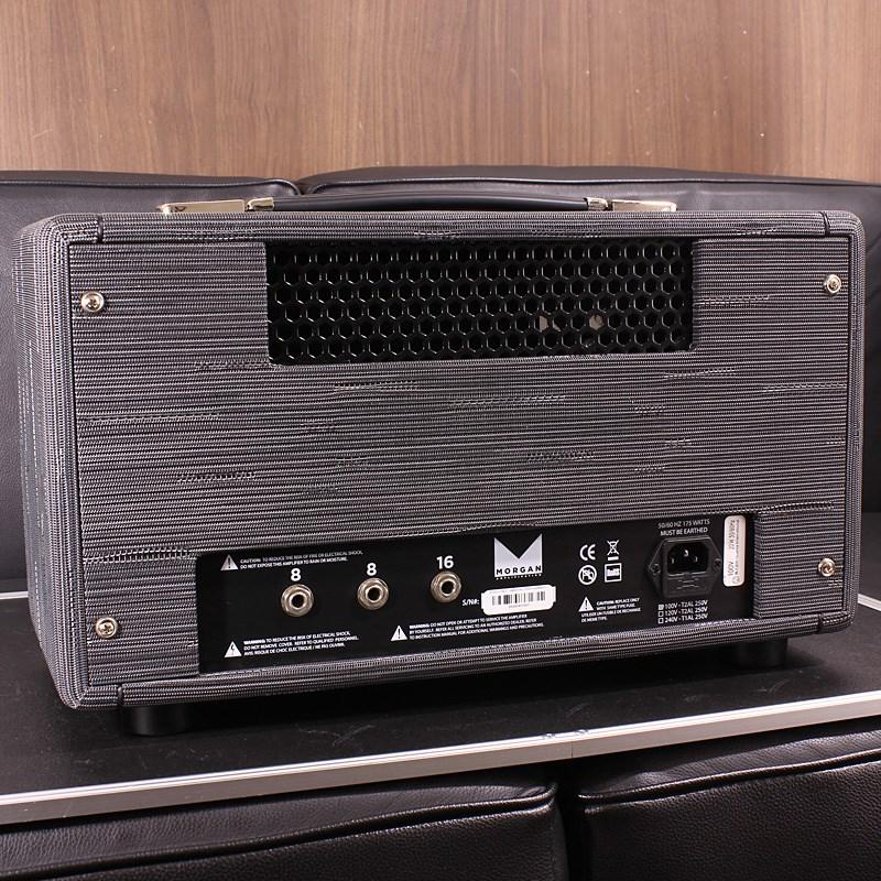Morgan Amplification AC20 HEAD TWILIGHT_4