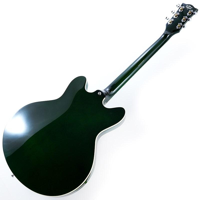 VOX Bobcat S66 (Italian Green)【本数限定特価】の画像