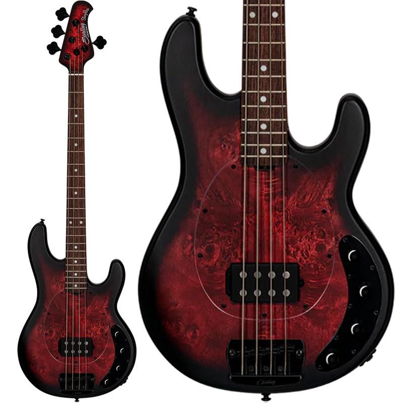 Music Man Sterling by MUSICMAN Ray34PB (Dark Scarlet Burst Satin