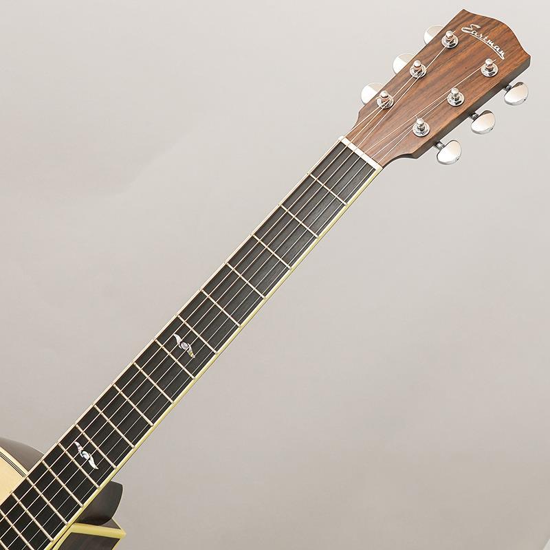 EASTMAN AC422CE w/R-Zero Contact Pro BACNT × DiMarzio DP234