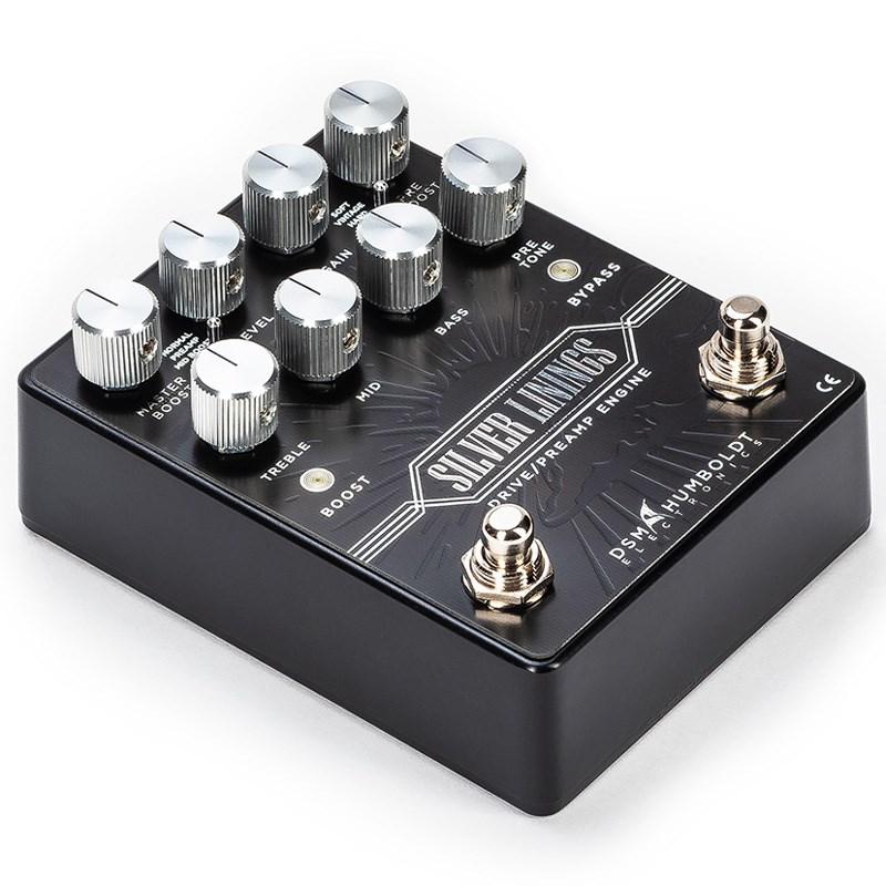 ギター DSM & HUMBOLDT / SILVER LININGS SILVER LININGS - DSM & Humboldt | Hookup, Inc.