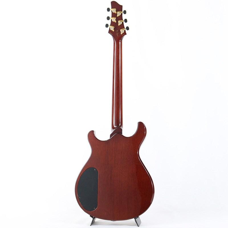 Washburn Guitars