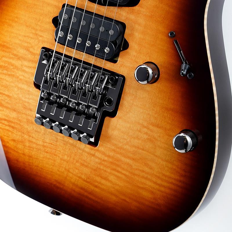 Ibanez（アイバニーズ） Ibanez j.custom RG8570-BSR (Brownish