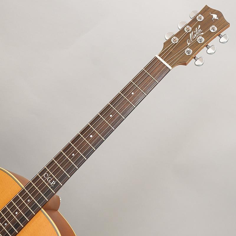 MATON Master Built TE Personal メイトン : イケベ楽器リボレ秋葉原店