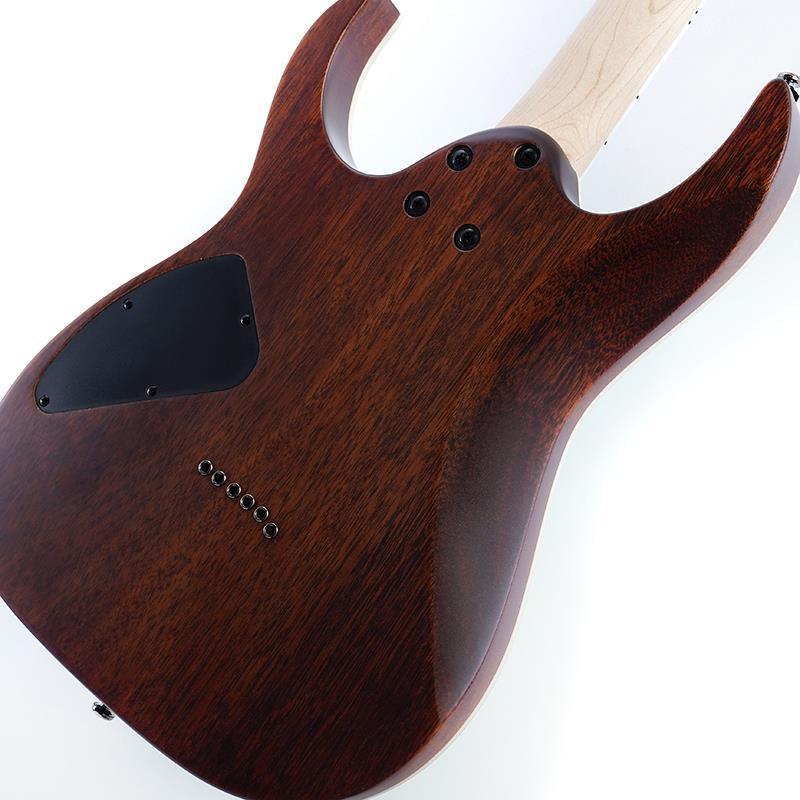 Ibanez RG421S-SEM [SPOT MODEL]の画像