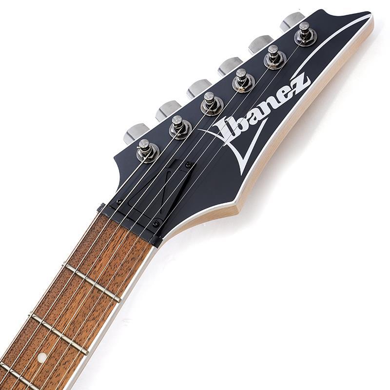 Ibanez RG421S-SEM [SPOT MODEL]の画像