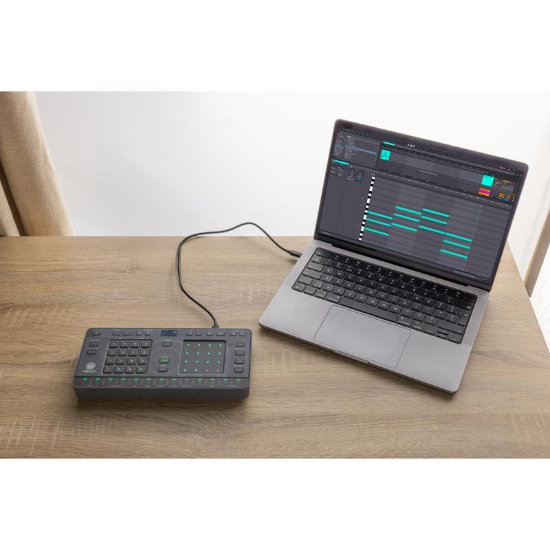 AlphaTheta TORAIZ CHORDCAT 【予約商品 / 2026年1月下旬入荷予定