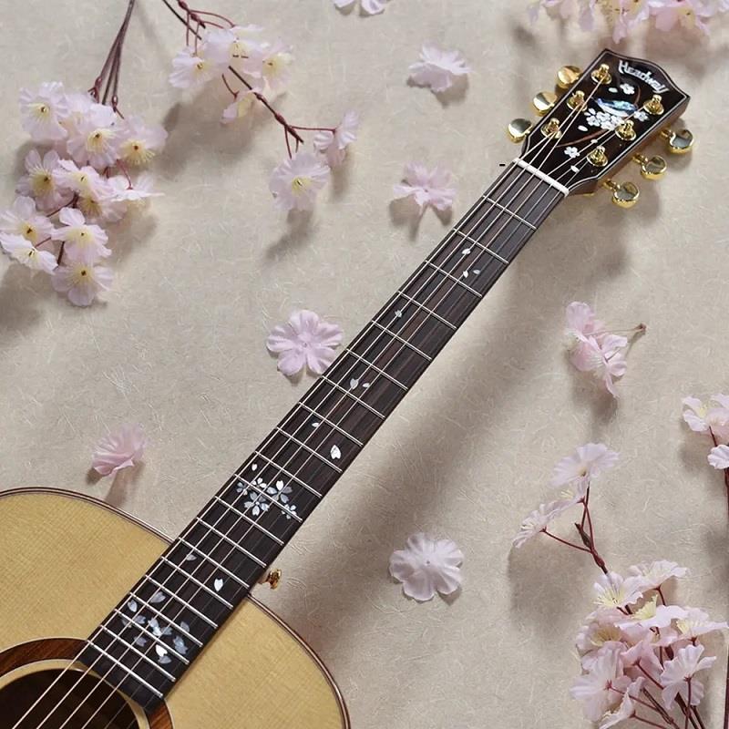 Headway HF-KOBOREZAKURA 初回限定 【おさむらいさん直筆サイン＆特典つき】 ヘッドウェイの画像