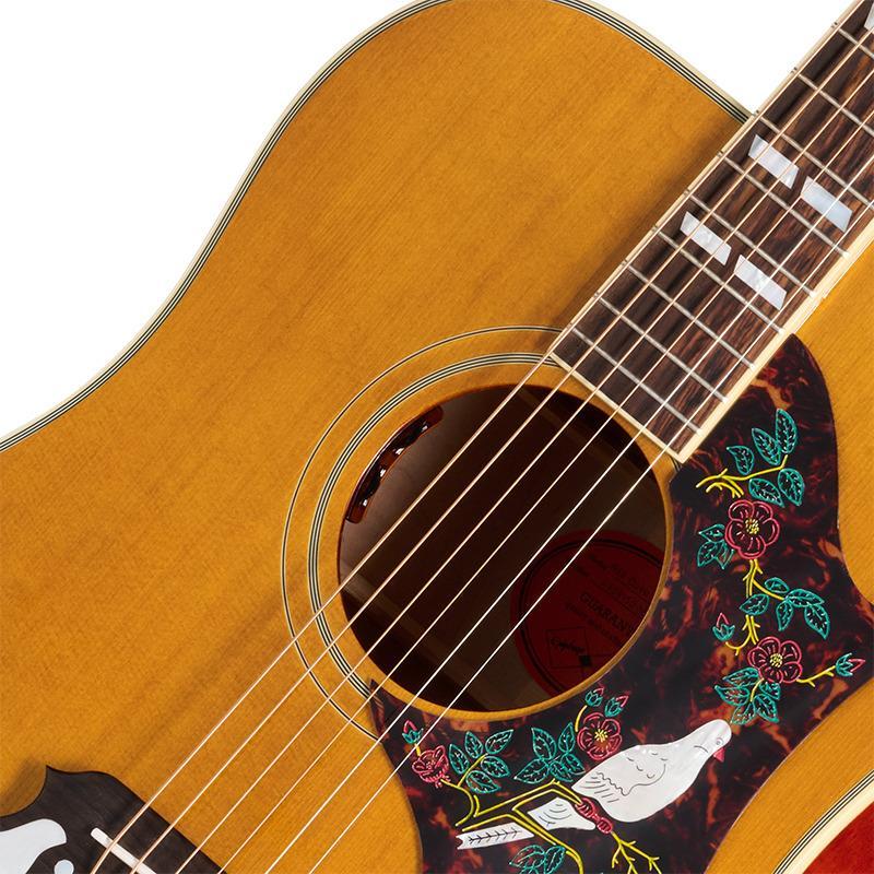 Epiphone（エピフォン） Epiphone 1963 Dove Reissue : イケベ楽器