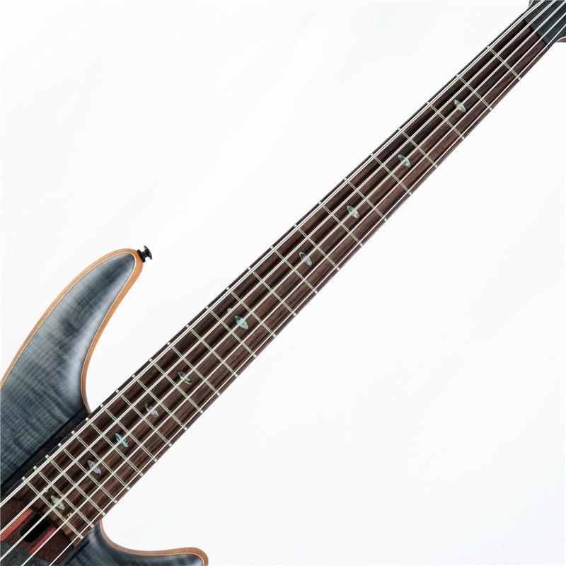 Ibanez SR1455DW-TGF 【国内イケベ独占販売限定モデル / イケベ50周年特別キャンペーン】_2