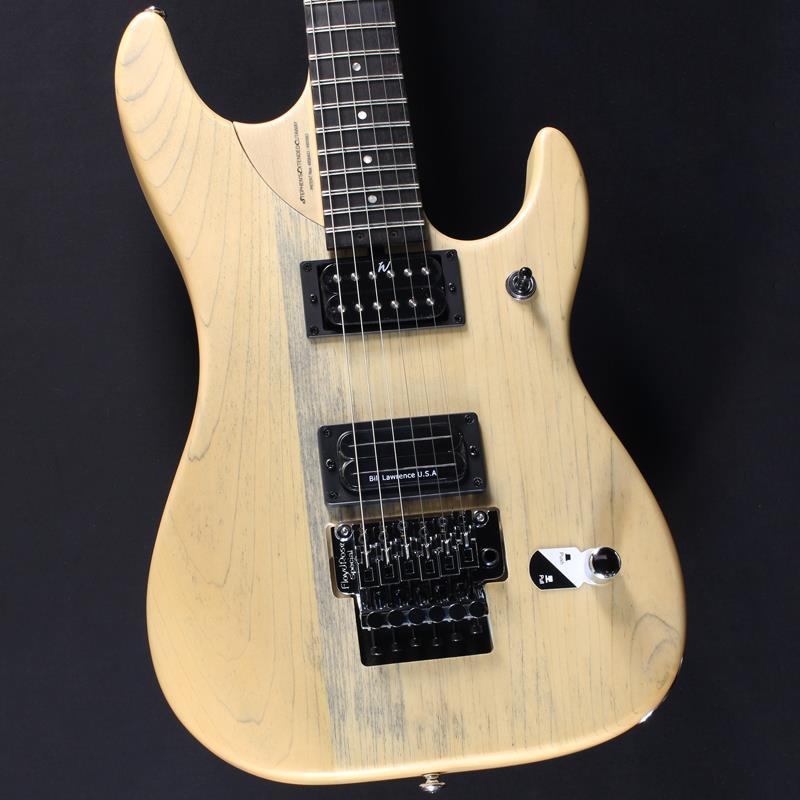 Washburn Washburn N24-NUNO VINTAGE MATTE #IW25040076 : イケベ楽器 