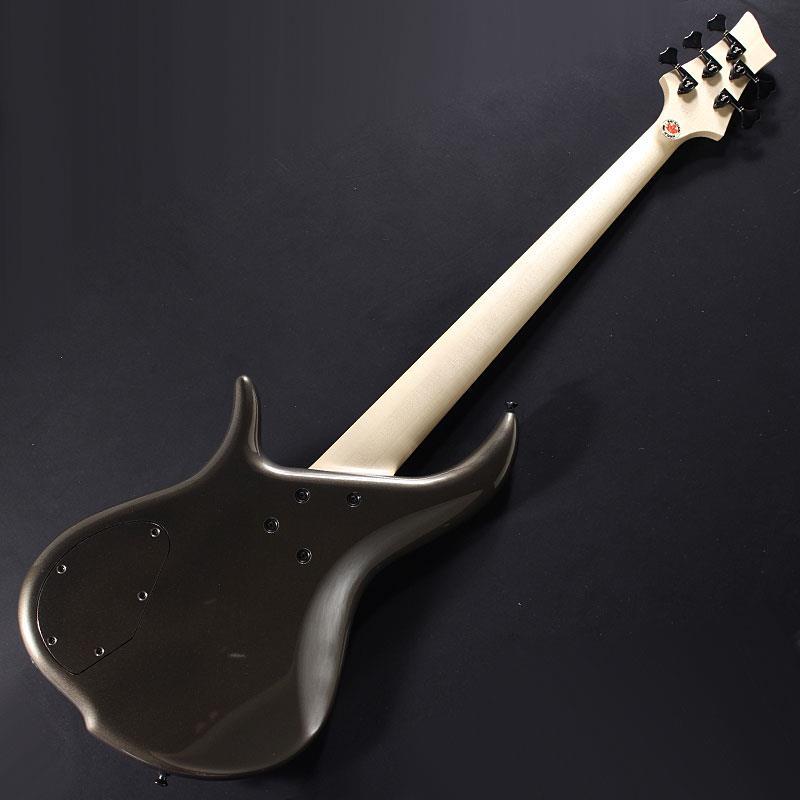 F-bass BN5-ZE Macassar Ebony Fingerboard， Hipshot A Style Bridge