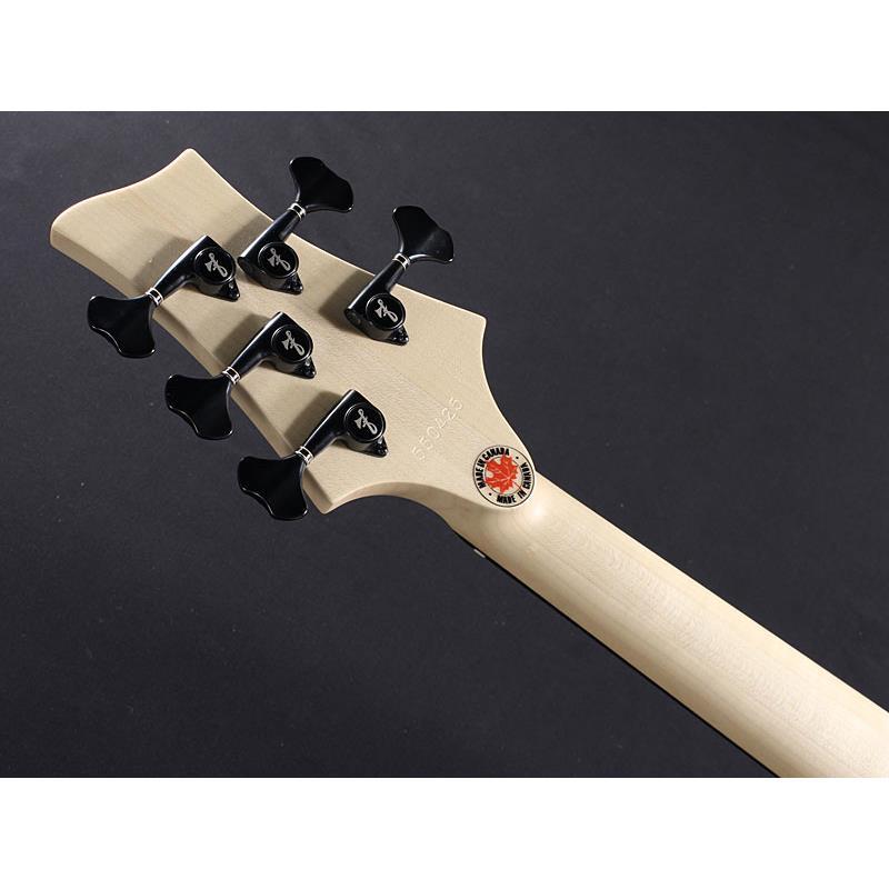 F-bass BN5-ZE Macassar Ebony Fingerboard， Hipshot A Style Bridge