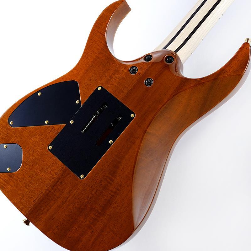 Ibanez（アイバニーズ） Ibanez Ikebe 50th Anniversary j.custom
