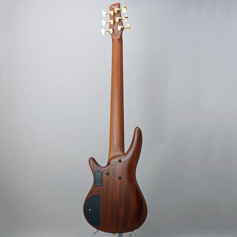 Ibanez Prestige SR5506-MHF 【夏のボーナスセール】_3