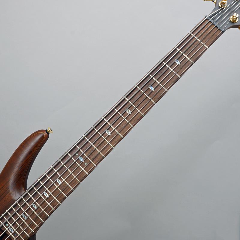 Ibanez Prestige SR5506-MHF 【夏のボーナスセール】_4