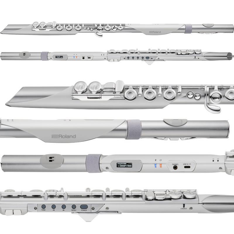 ローランド（Roland） ローランド / Aerophone Brisa デジタル管楽器