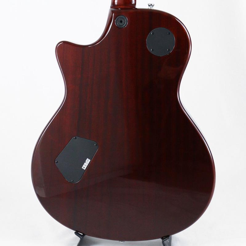 TAYLOR USED 中古 XXXV T3-C 35th Anniversary Cocobolo [SN.20090715602] テイラーの画像
