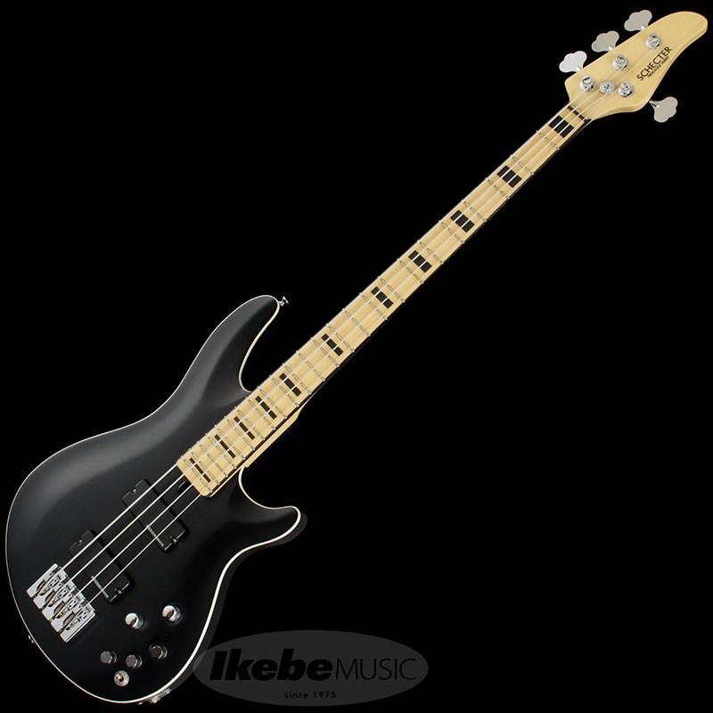 SCHECTER SCHECTER Progauge Artist Model Series PA-TM : イケベ楽器