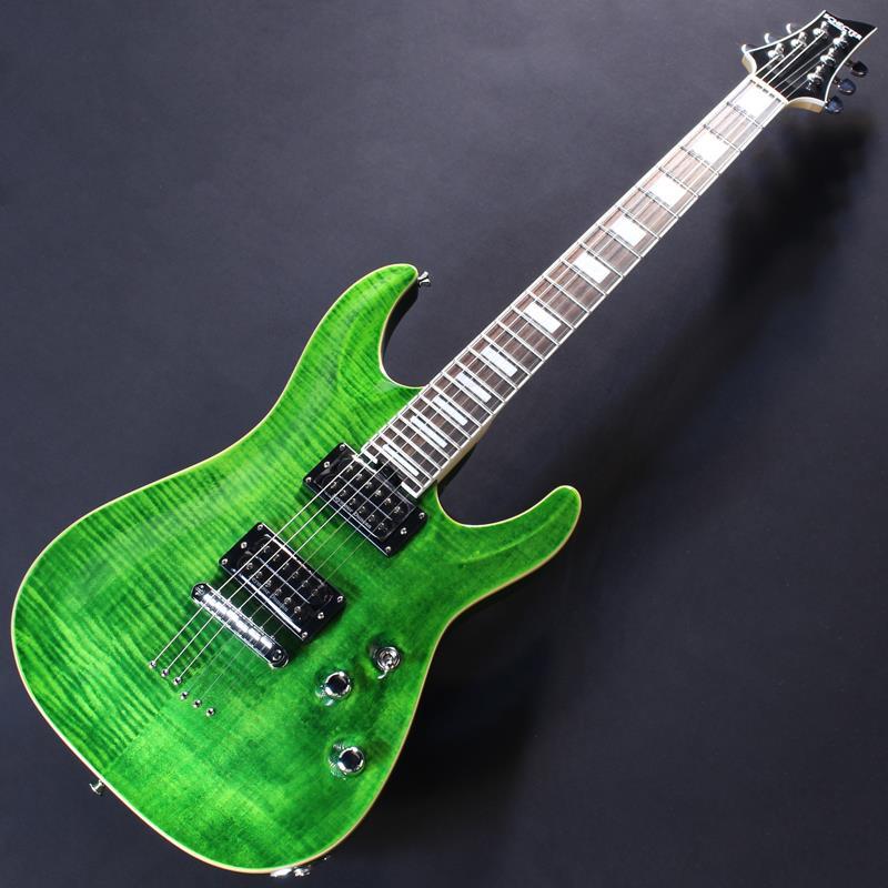 SCHECTER PA-SW/TH 【Proguage Artist Model SHADOWS TAKAHIRO】の画像