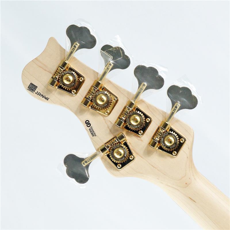 Freedom Custom Guitar Research O.S. Anthra 5st Active Ash/Rosewood