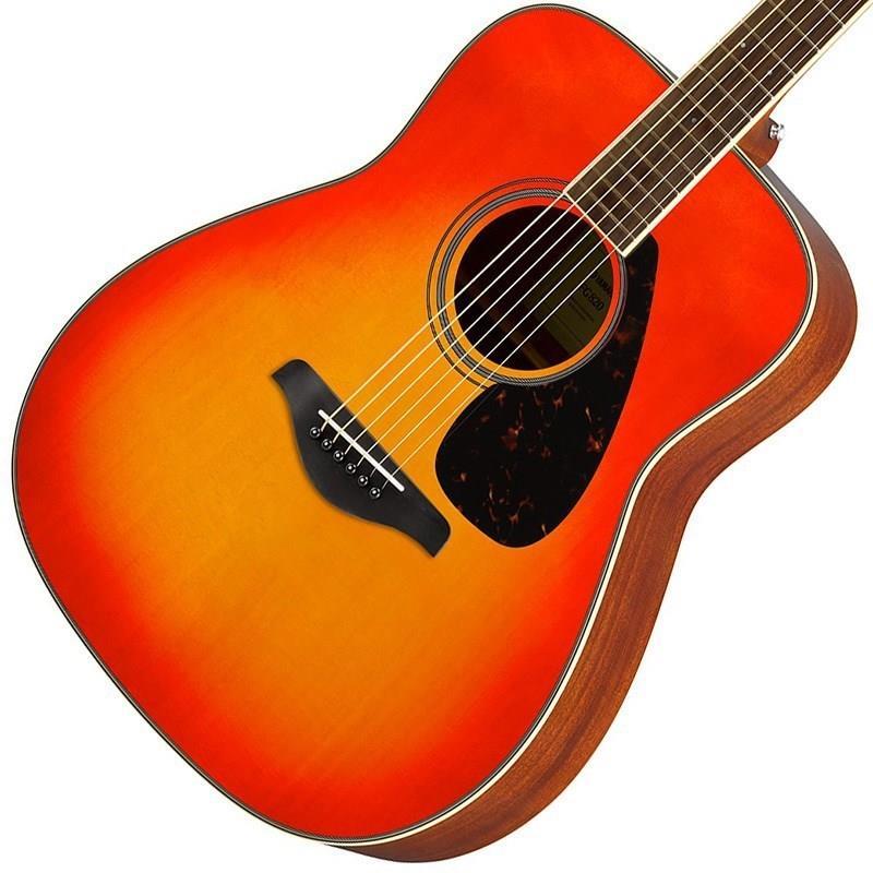 YAMAHA 【ビギナーさん応援！お得なアクセサリー10点セット付き！】FG820 (Autumn Burst)  ヤマハ_2