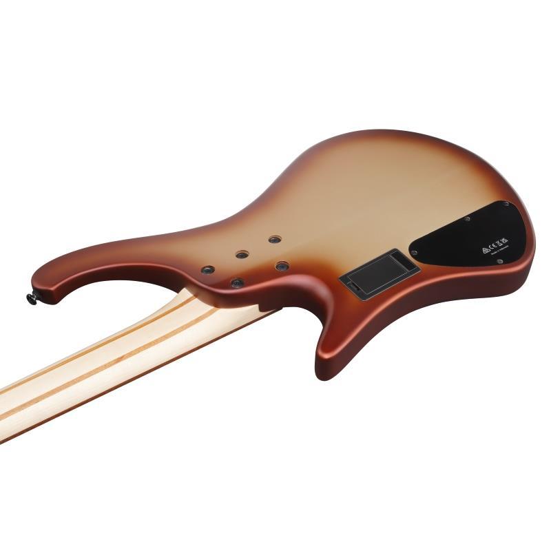 Ibanez EHB600-CCM [SPOT MODEL]_3