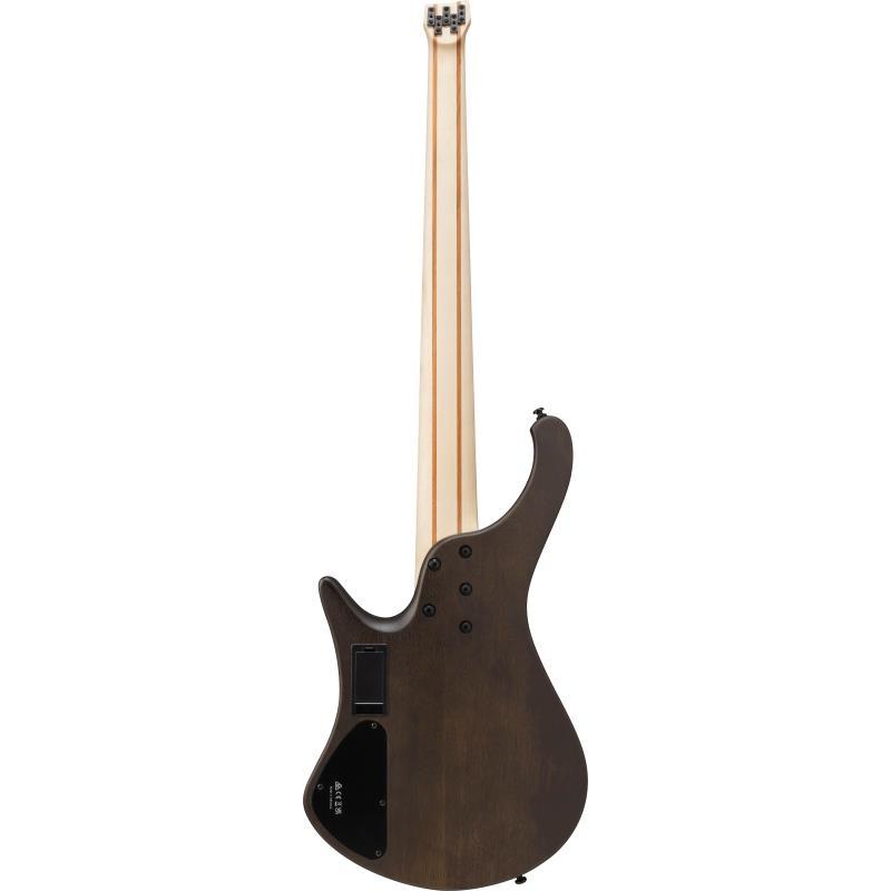 Ibanez EHB605-WNF [SPOT MODEL]_1