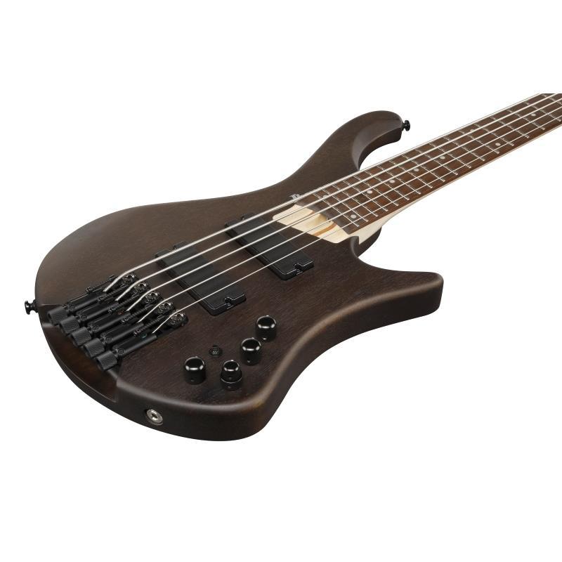 Ibanez EHB605-WNF [SPOT MODEL]_2