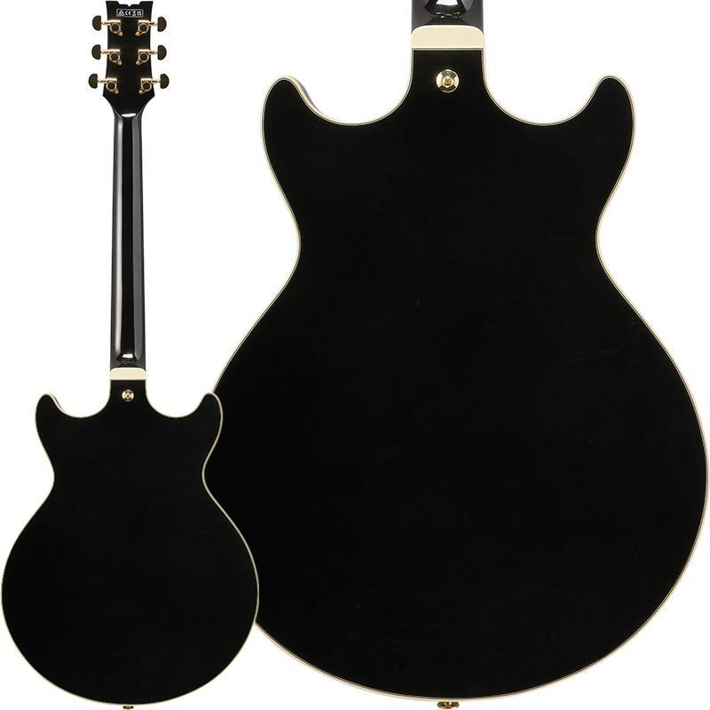 Ibanez（アイバニーズ） Ibanez Artcore AM73G-BK (Black) [SPOT MODEL