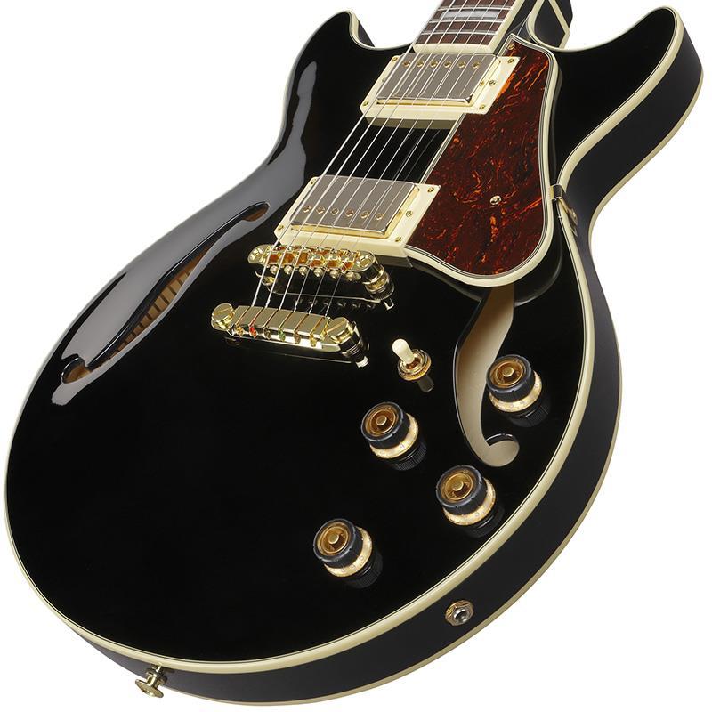 Ibanez（アイバニーズ） Ibanez Artcore AM73G-BK (Black) [SPOT MODEL