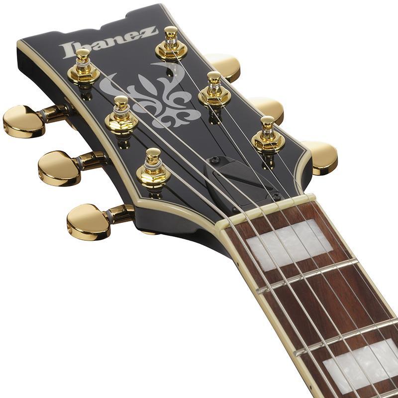 Ibanez（アイバニーズ） Ibanez Artcore AM73G-BK (Black) [SPOT MODEL