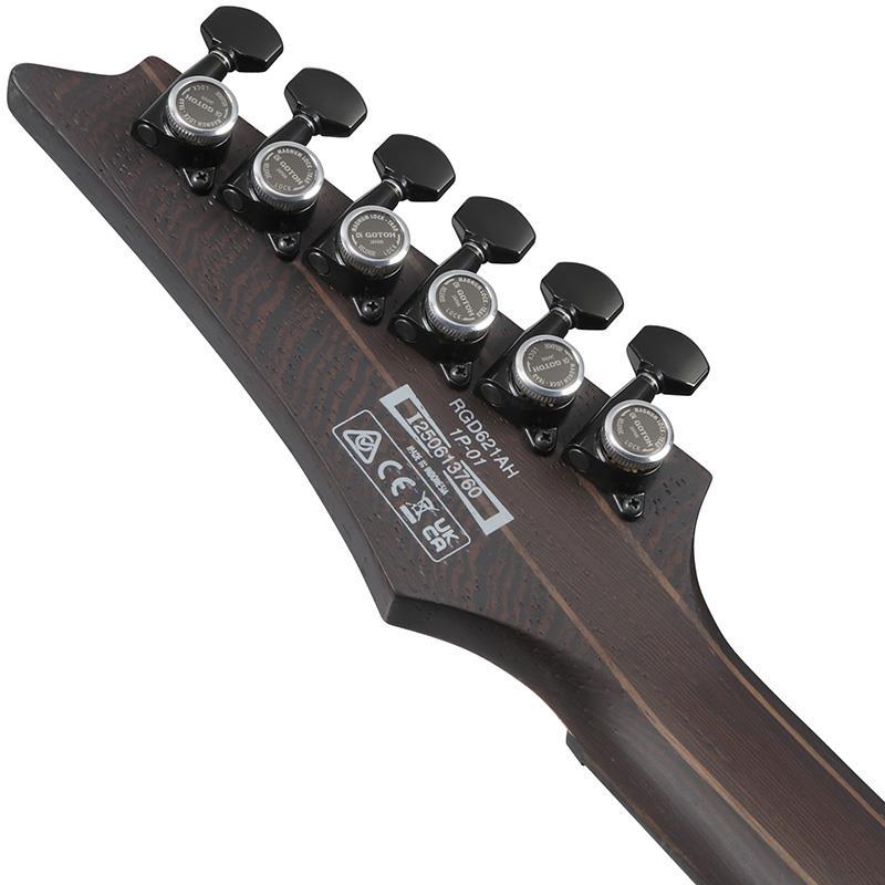 Ibanez（アイバニーズ） Ibanez RGD621AH-MNF (Midnight Shade Flat